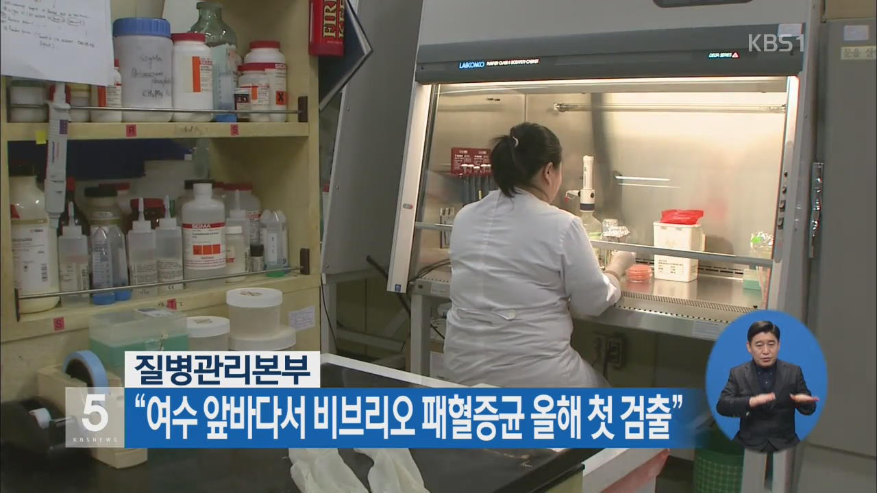 “여수 앞바다서 비브리오 패혈증균 올해 첫 검출”