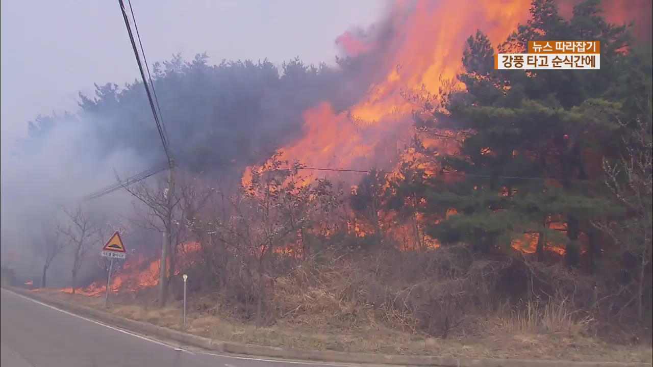 [뉴스 따라잡기] “순식간에 잿더미”…고성 산불