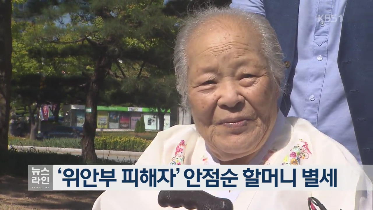 ‘위안부 피해자’ 안점순 할머니 별세