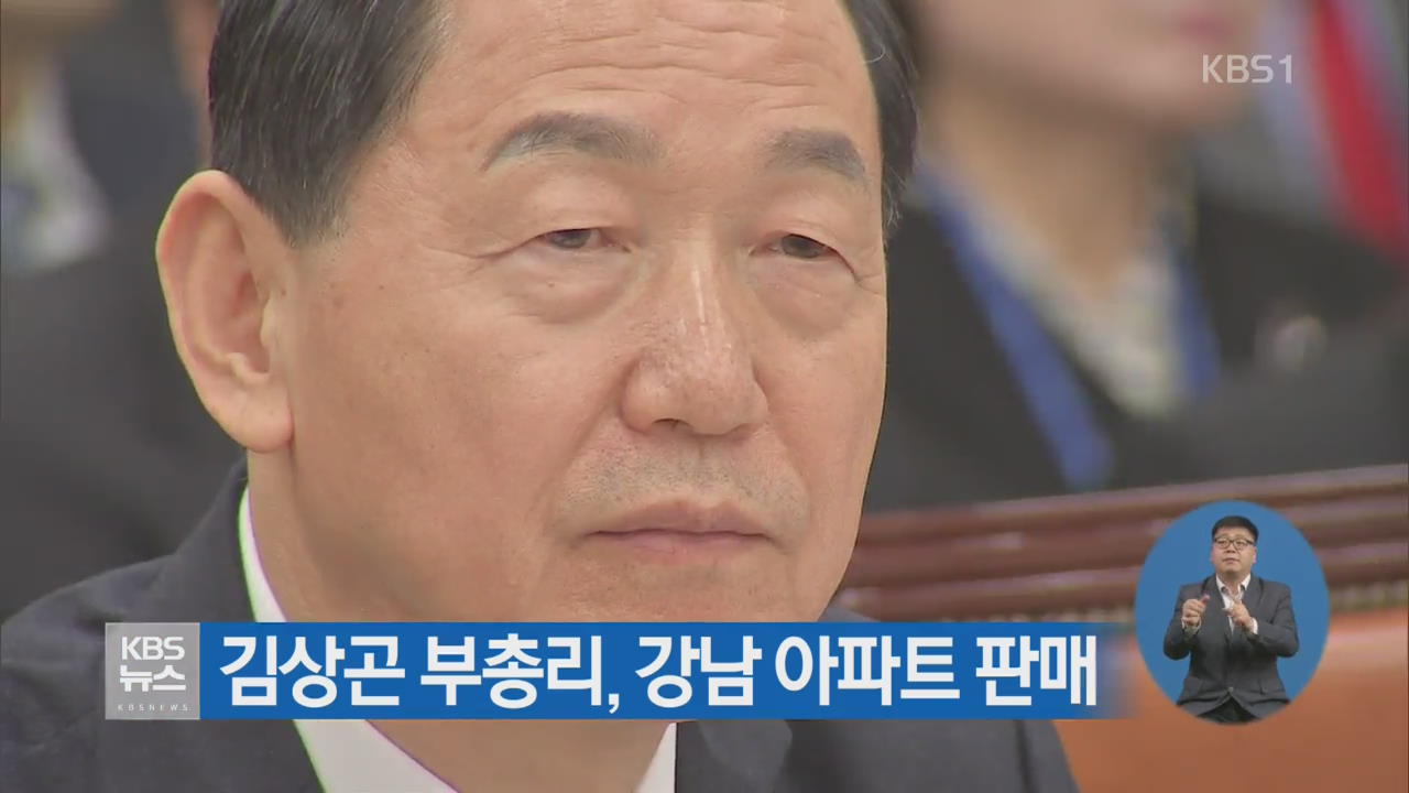 김상곤 부총리, 강남 아파트 판매