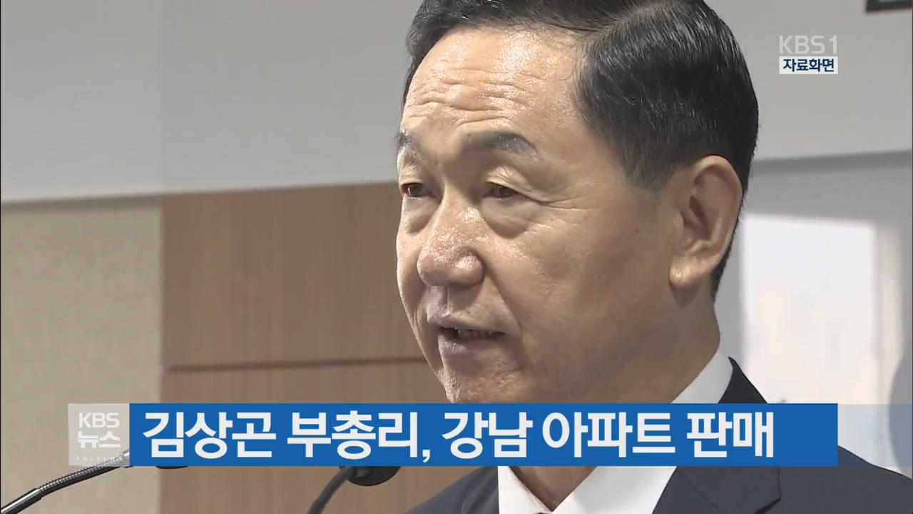 김상곤 부총리, 강남 아파트 판매
