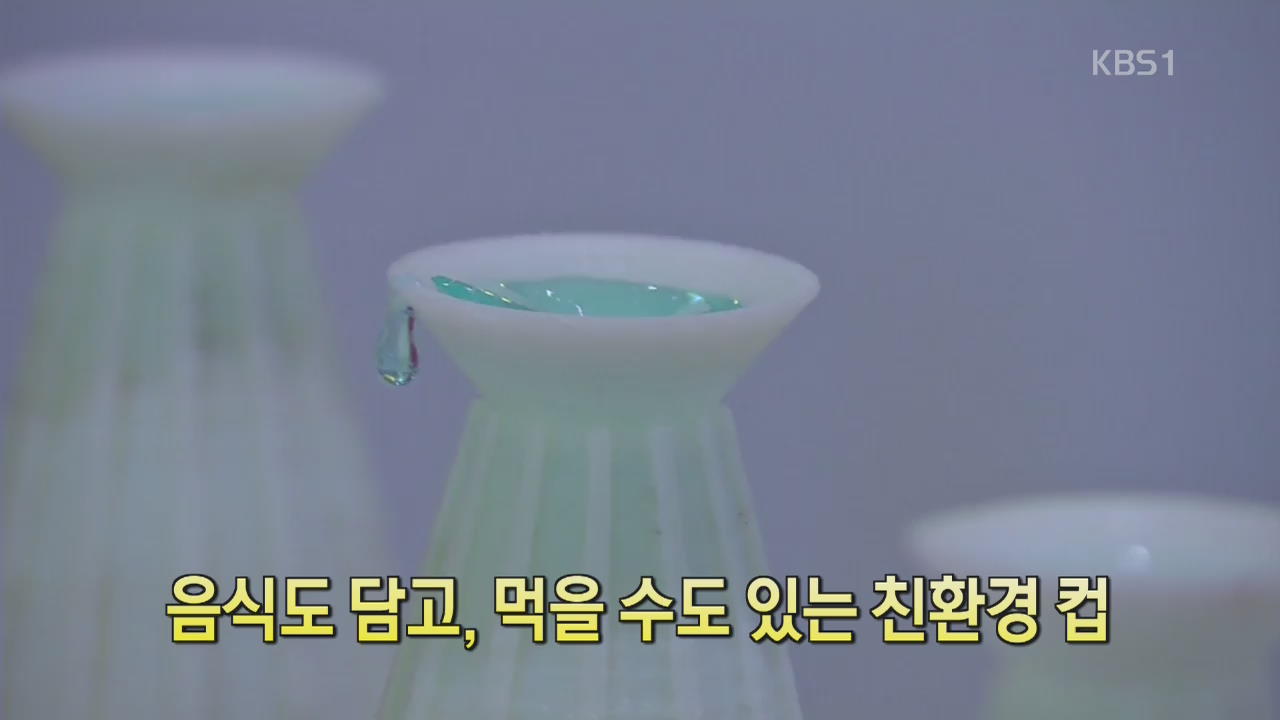 [디지털 광장] 음식도 담고, 먹을 수도 있는 친환경 컵