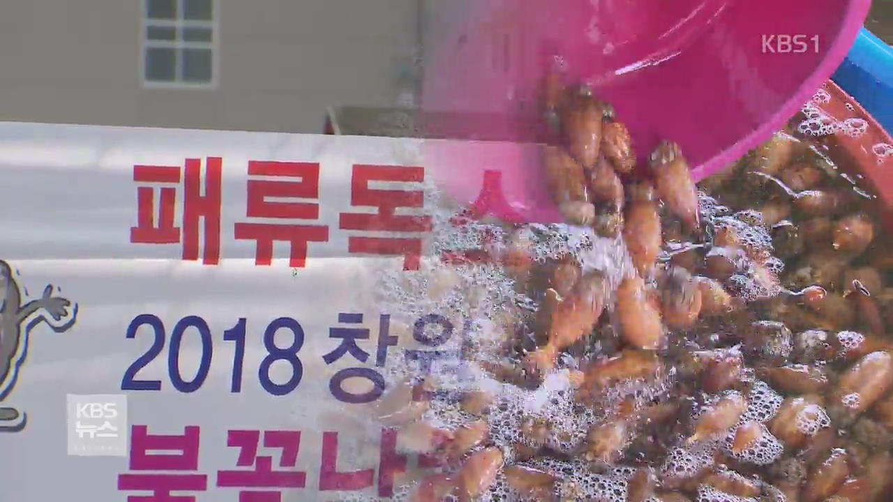 남해안 패류 독소 ‘최악’…축제 취소까지