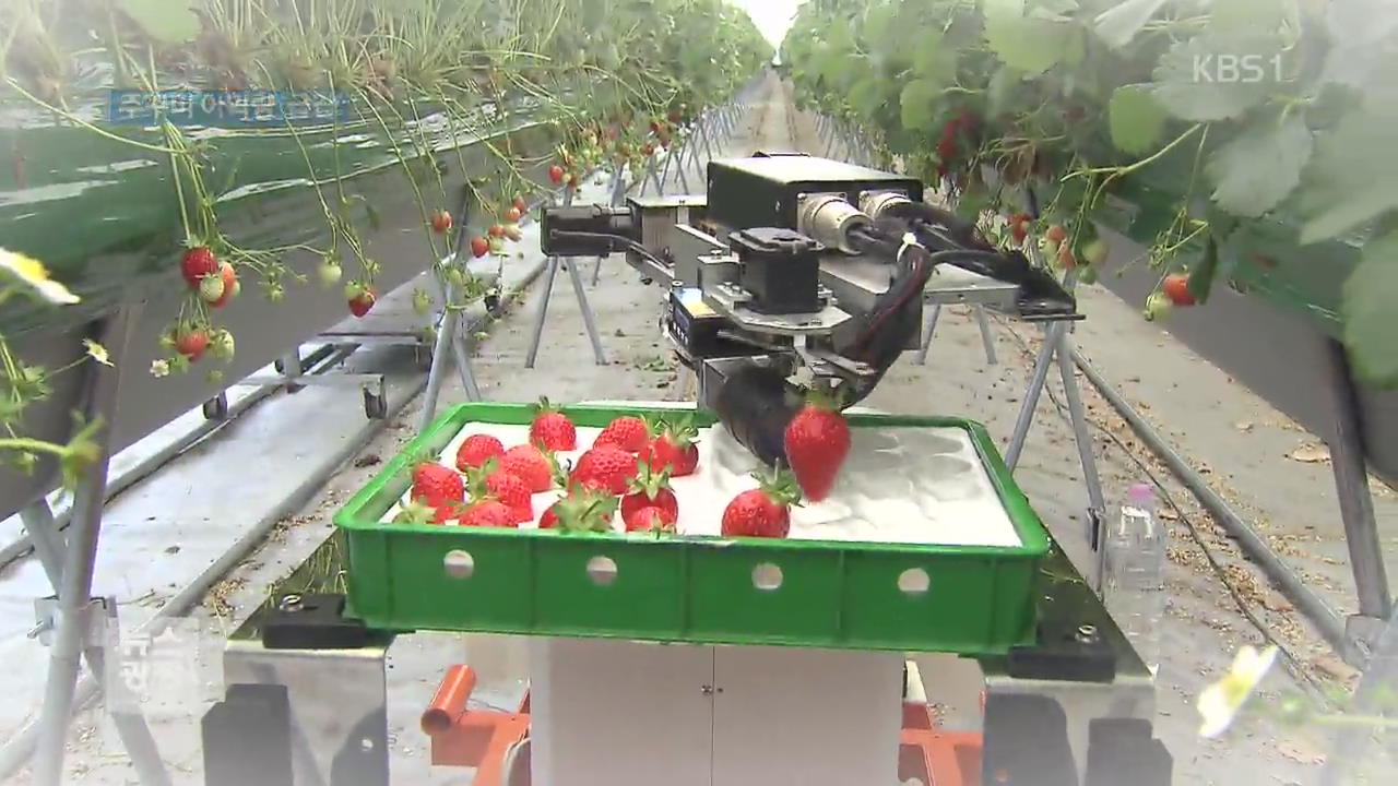인공지능 접목 최첨단 농장…“농사도 로봇이 짓는다”