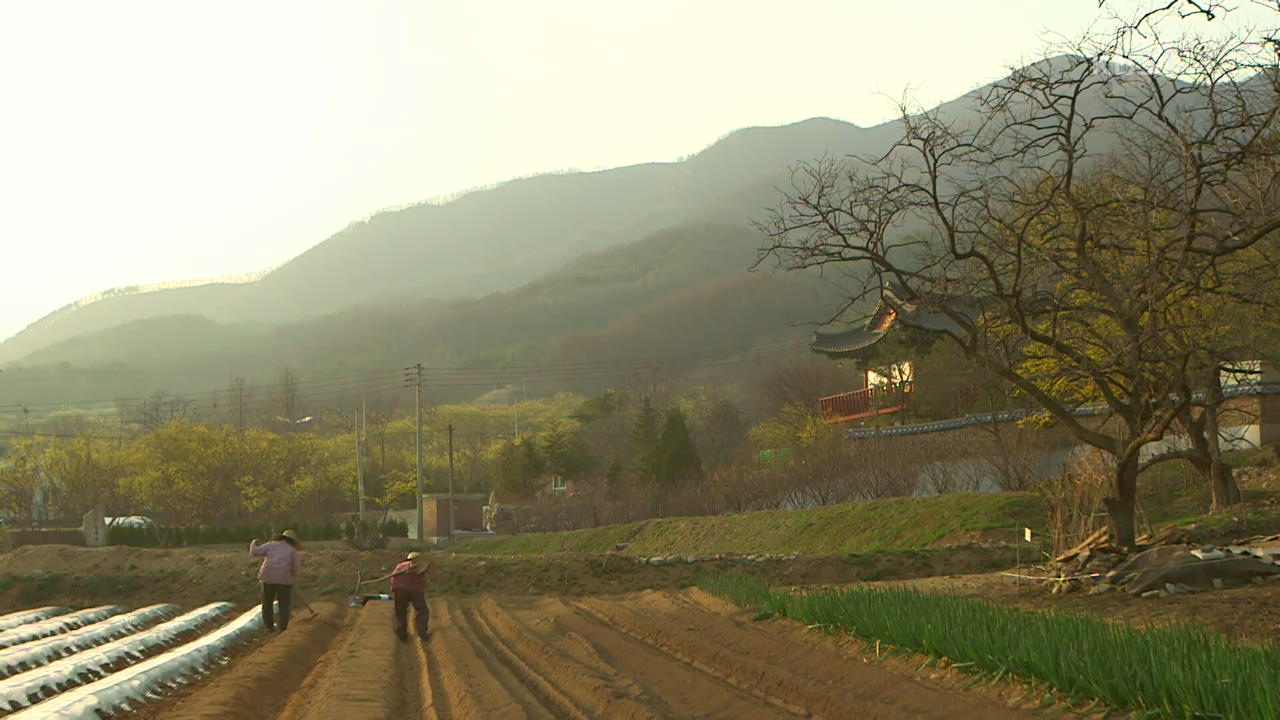 [뉴스광장 영상] 산수유마을