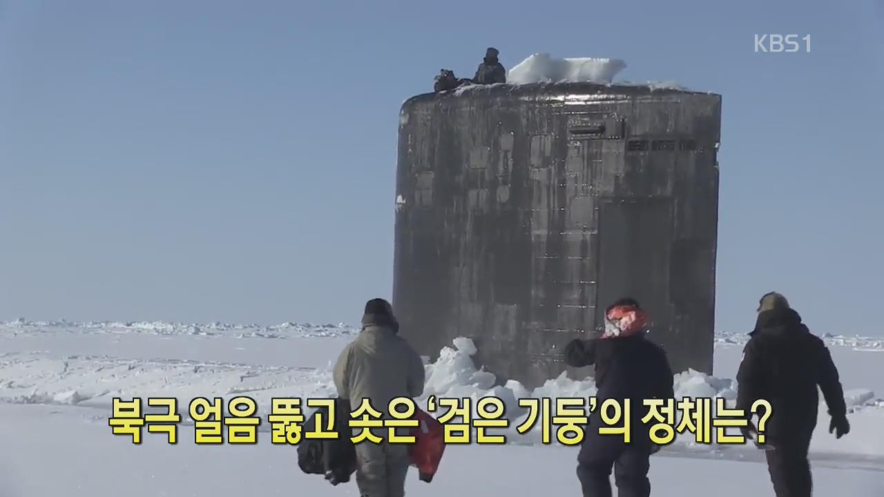 [디지털 광장] 북극 얼음 뚫고 솟은 ‘검은 기둥’의 정체는?