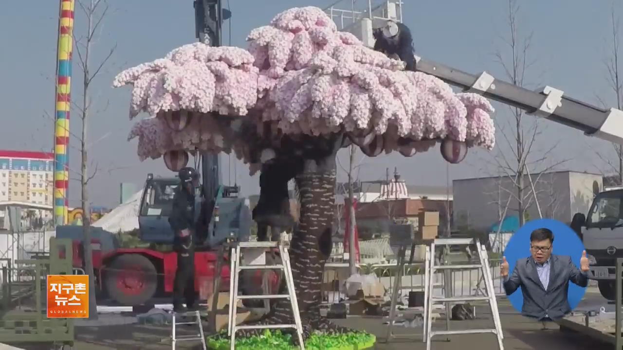 [지구촌 화제 영상] 세계 최대 크기 ‘블록 벚나무’