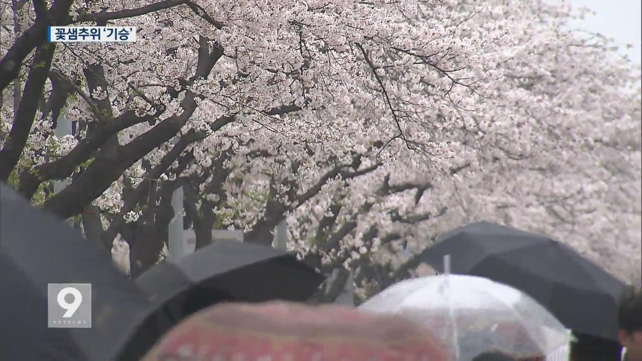봄 시샘 추위에 벚꽃놀이도 ‘중무장’…일부는 ‘눈발’