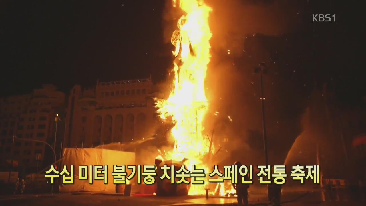 [디지털 광장] 수십 미터 불기둥 치솟는 스페인 전통 축제