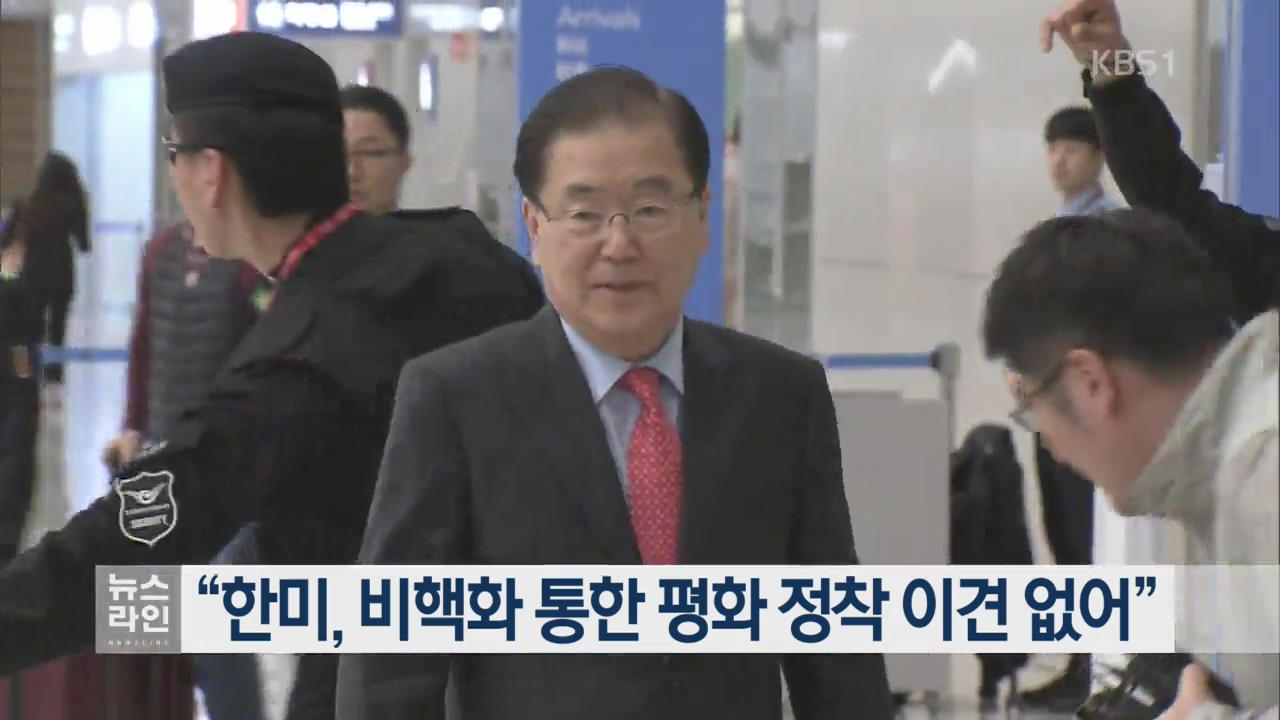 “한미, 비핵화 통한 평화 정착 이견 없어”