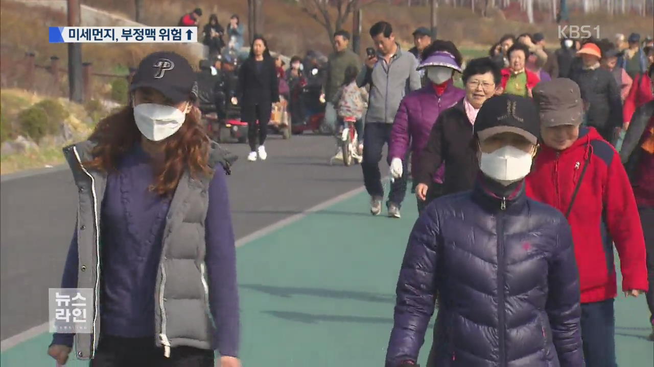 미세먼지, ‘돌연사’ 부정맥 유발 첫 확인
