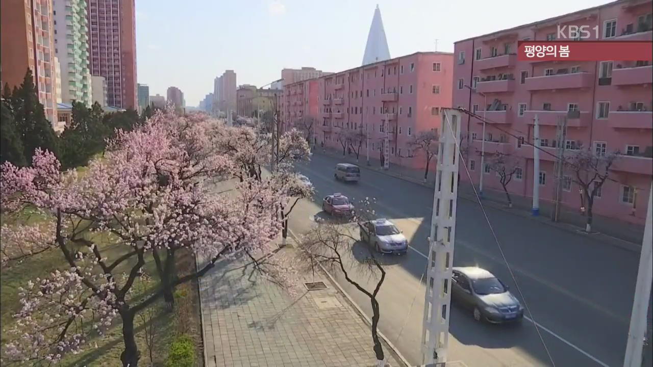 [북한 영상] 평양의 봄