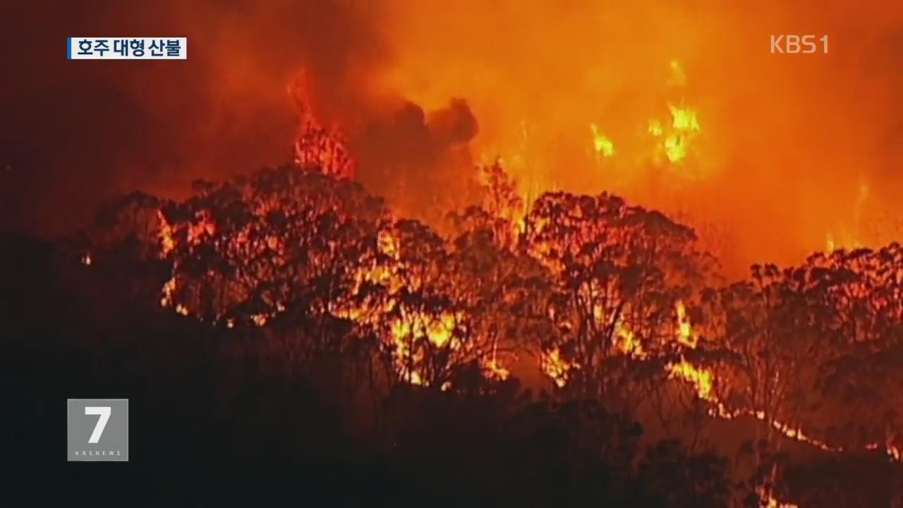 호주 시드니 인근 대형 산불…한때 긴급 경보 발령