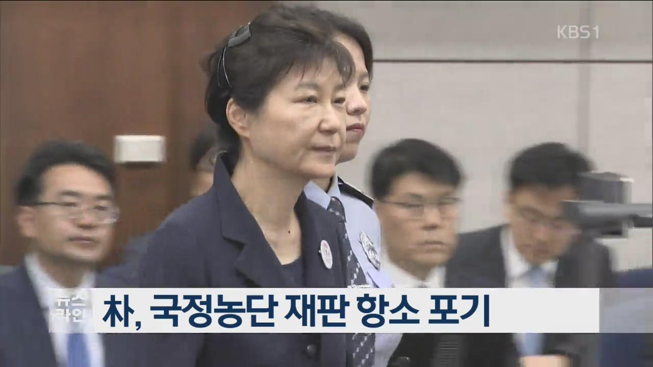 朴, 국정농단 재판 항소 포기