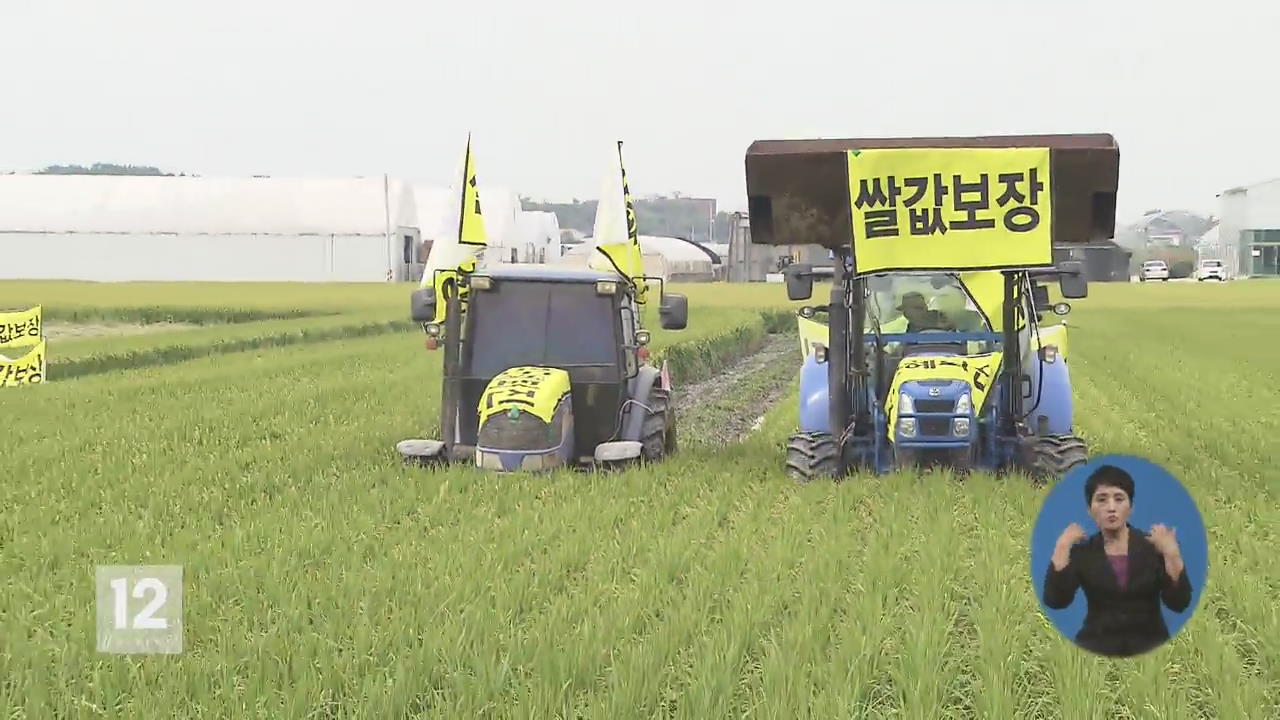 쌀값 오름세…정부 ‘생산 조정제’ 차질 우려