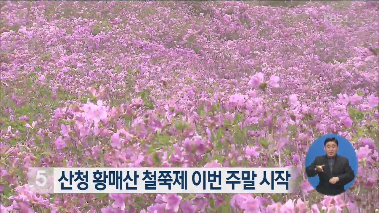 산청 황매산 철쭉제 이번 주말 시작