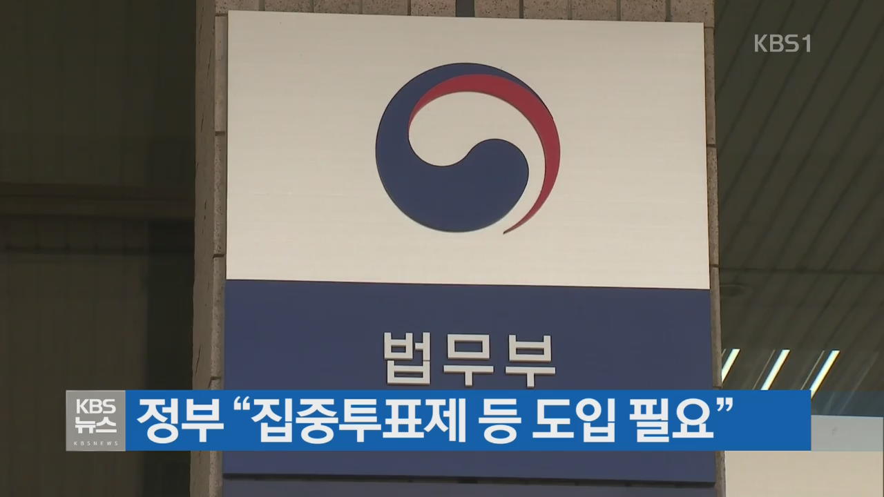정부 “집중투표제 등 도입 필요”