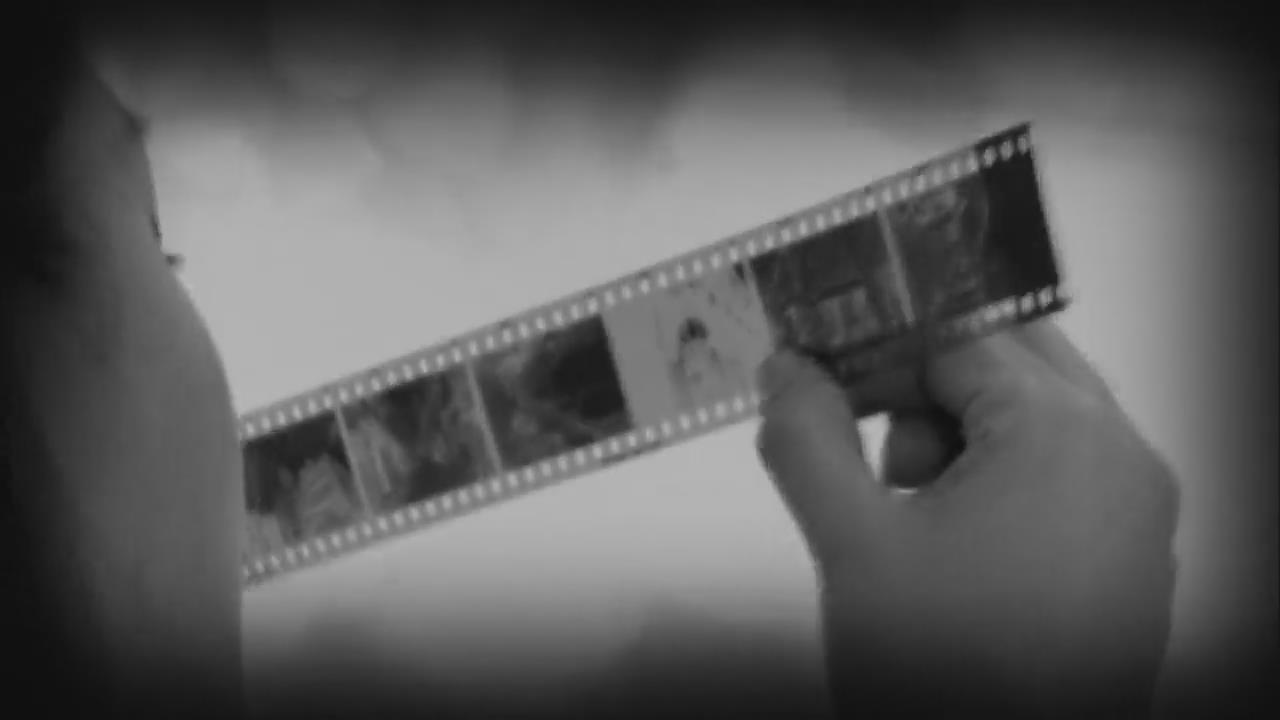 Analog Photography