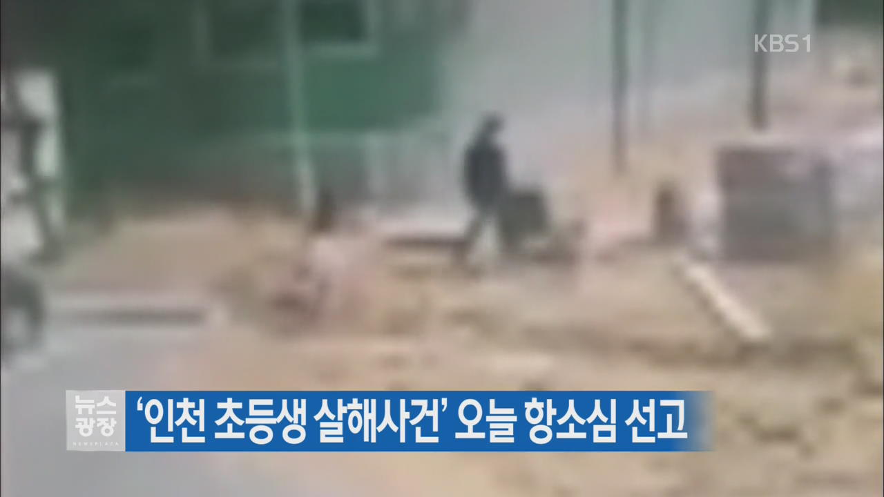 ‘인천 초등생 살해사건’ 오늘 항소심 선고