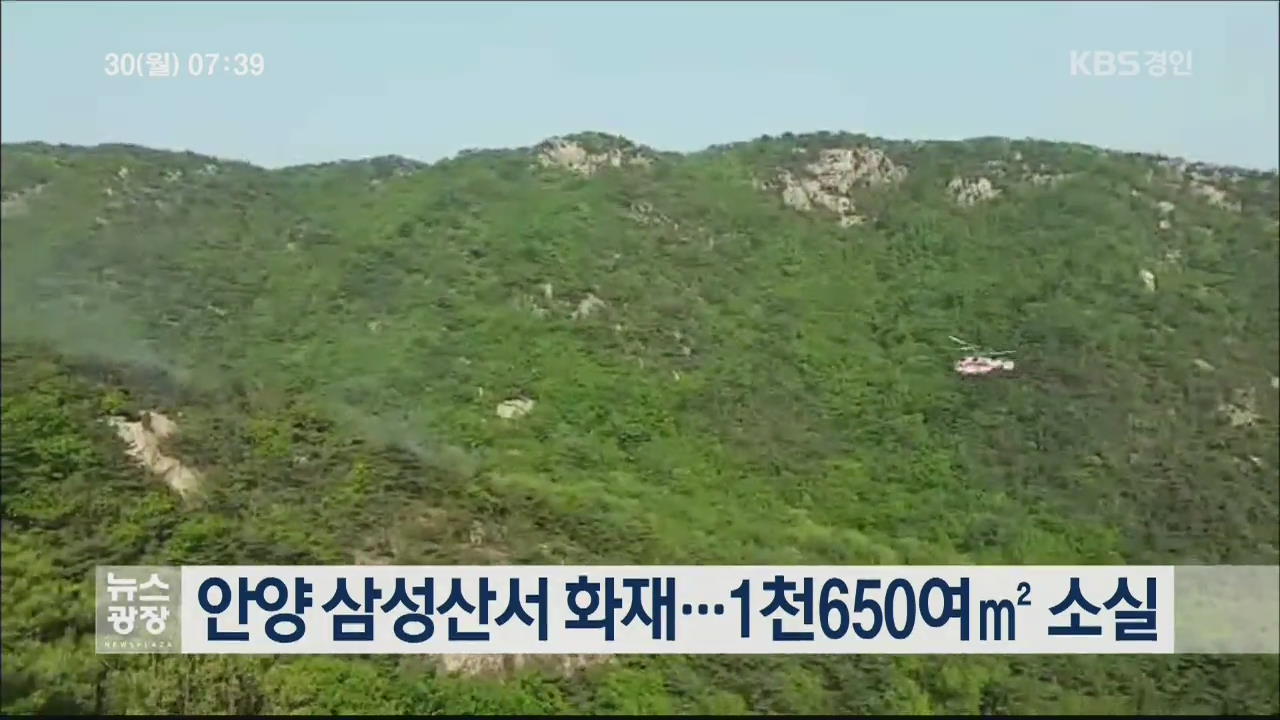 안양 삼성산서 화재…1천650여㎡ 소실
