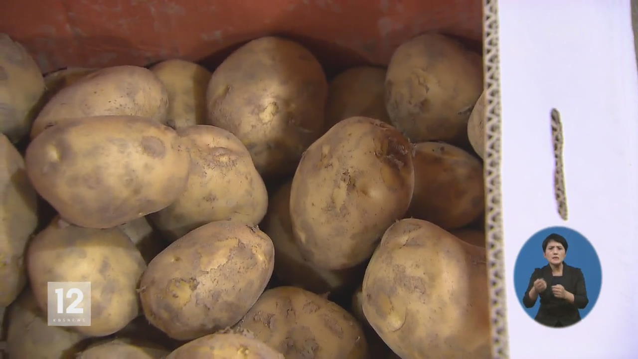 농산물 가격 8.9% ‘껑충’…감자값 77% 치솟아