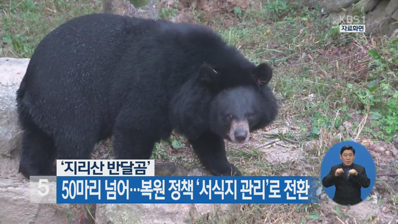 ‘지리산 반달곰’ 50마리 넘어…복원 정책 ‘서식지 관리’로 전환