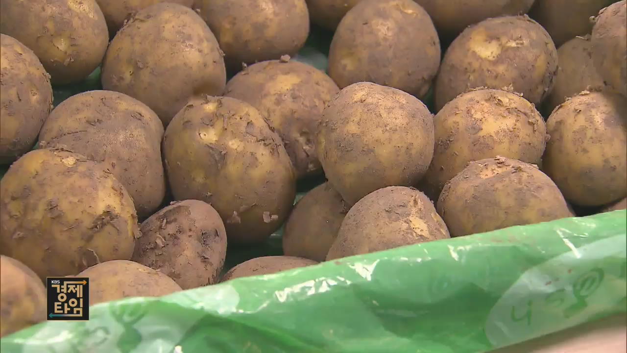 농산물 가격 8.9% ‘껑충’…감자값 77% 치솟아