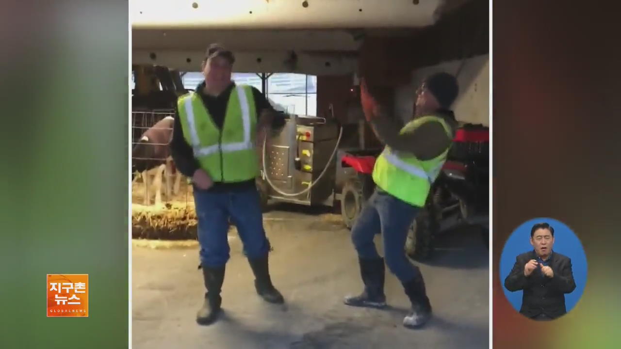 [지구촌 화제 영상] ‘농장에서 춤추기’…이어지는 도전