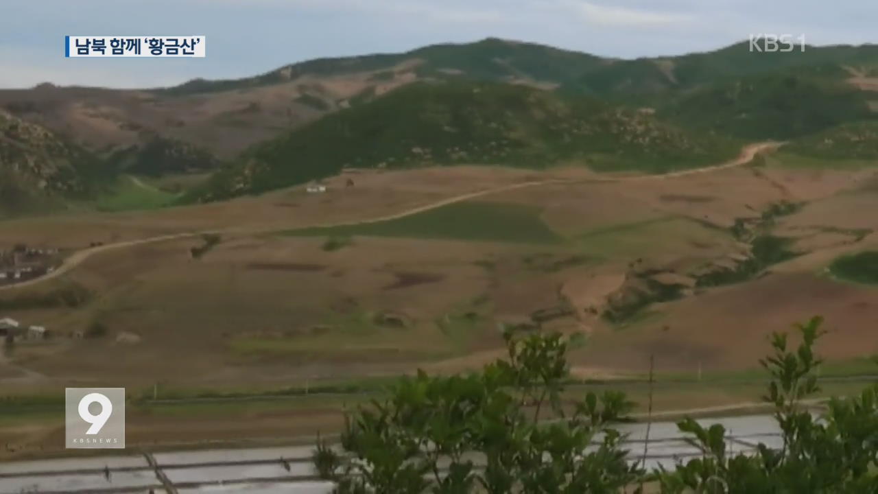 남북 첫 교류 ‘산림 사업’…‘황금산·보물산’ 만든다