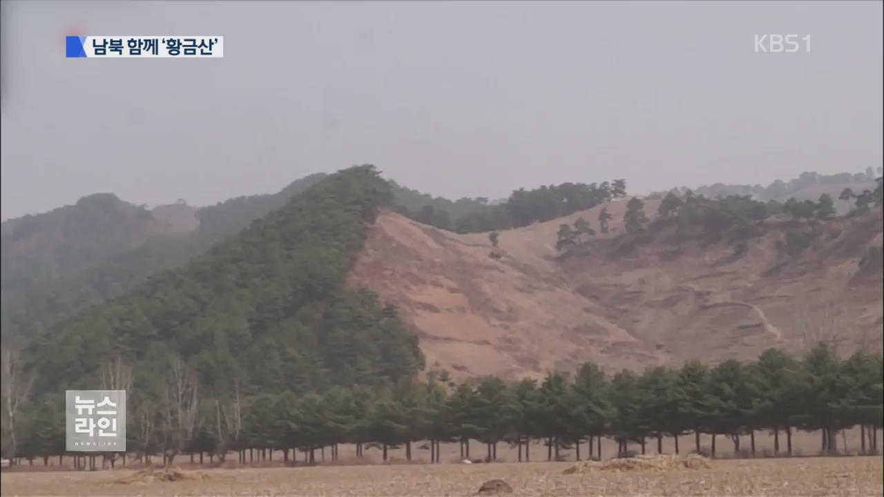 남북 첫 교류 ‘산림 사업’…‘황금산·보물산’ 만든다