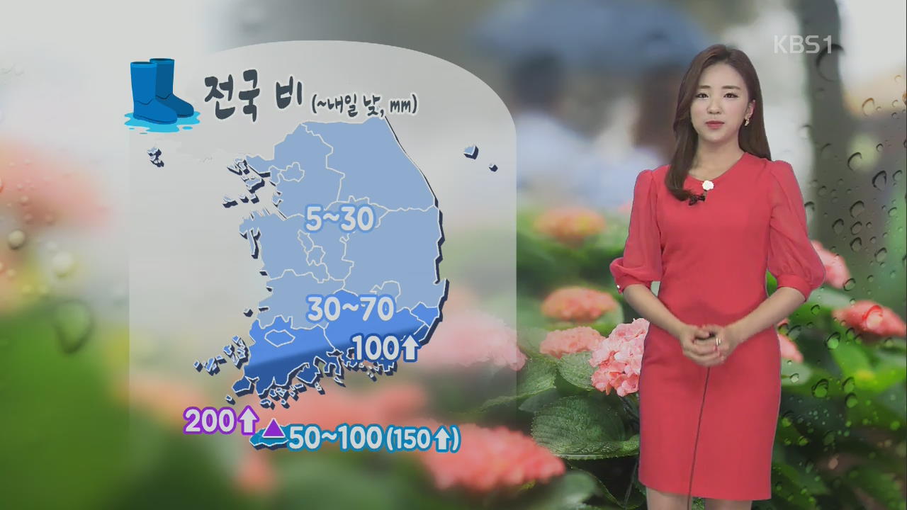 [날씨] 전국 비, 낮 기온 ’뚝’…제주·남해안 강풍 동반 호우