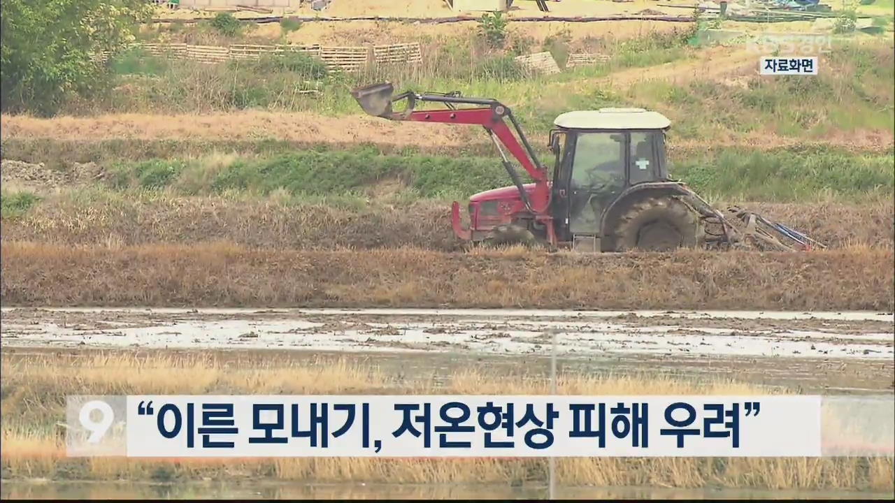 “이른 모내기, 저온현상 피해 우려”