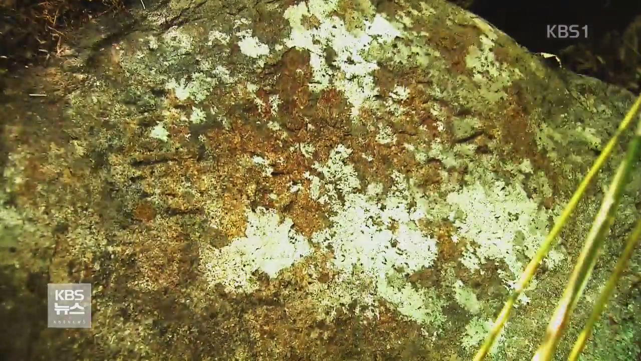 지리산서 1,200년 전 최치원 ‘완폭대 석각’ 발견