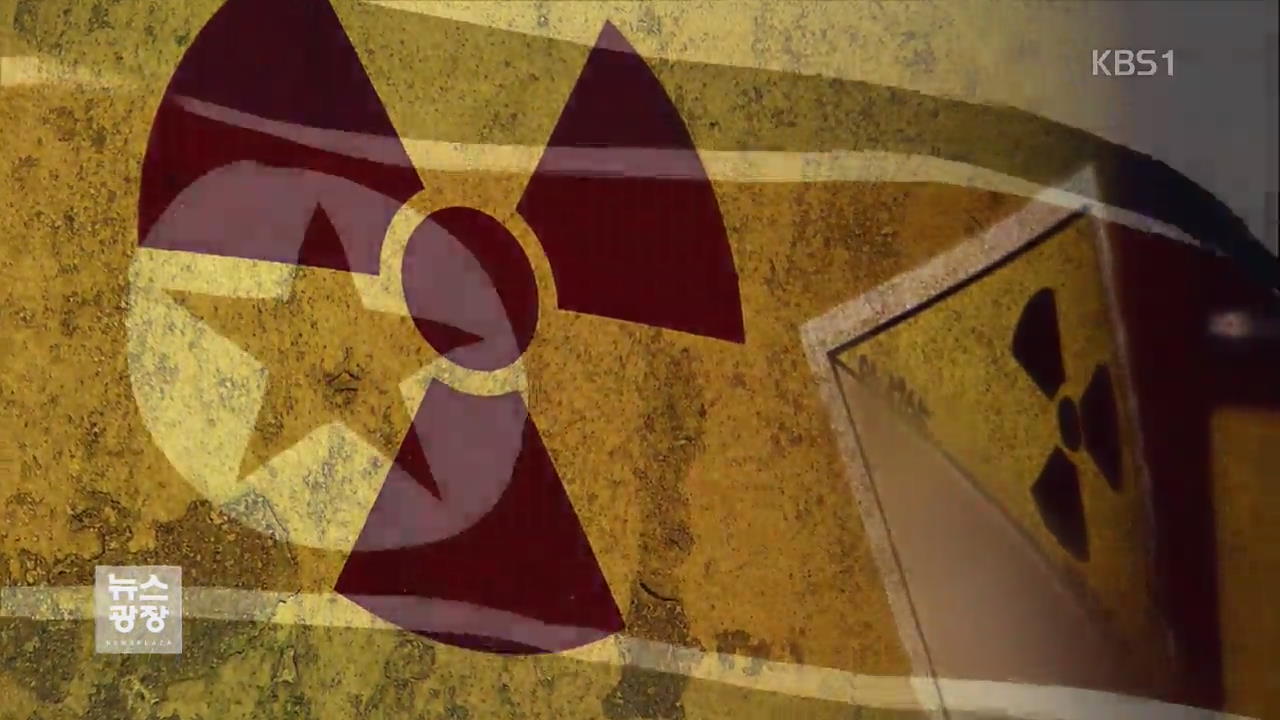 北 “일방적 핵 포기 강요 땐 북미 정상회담 재고려”