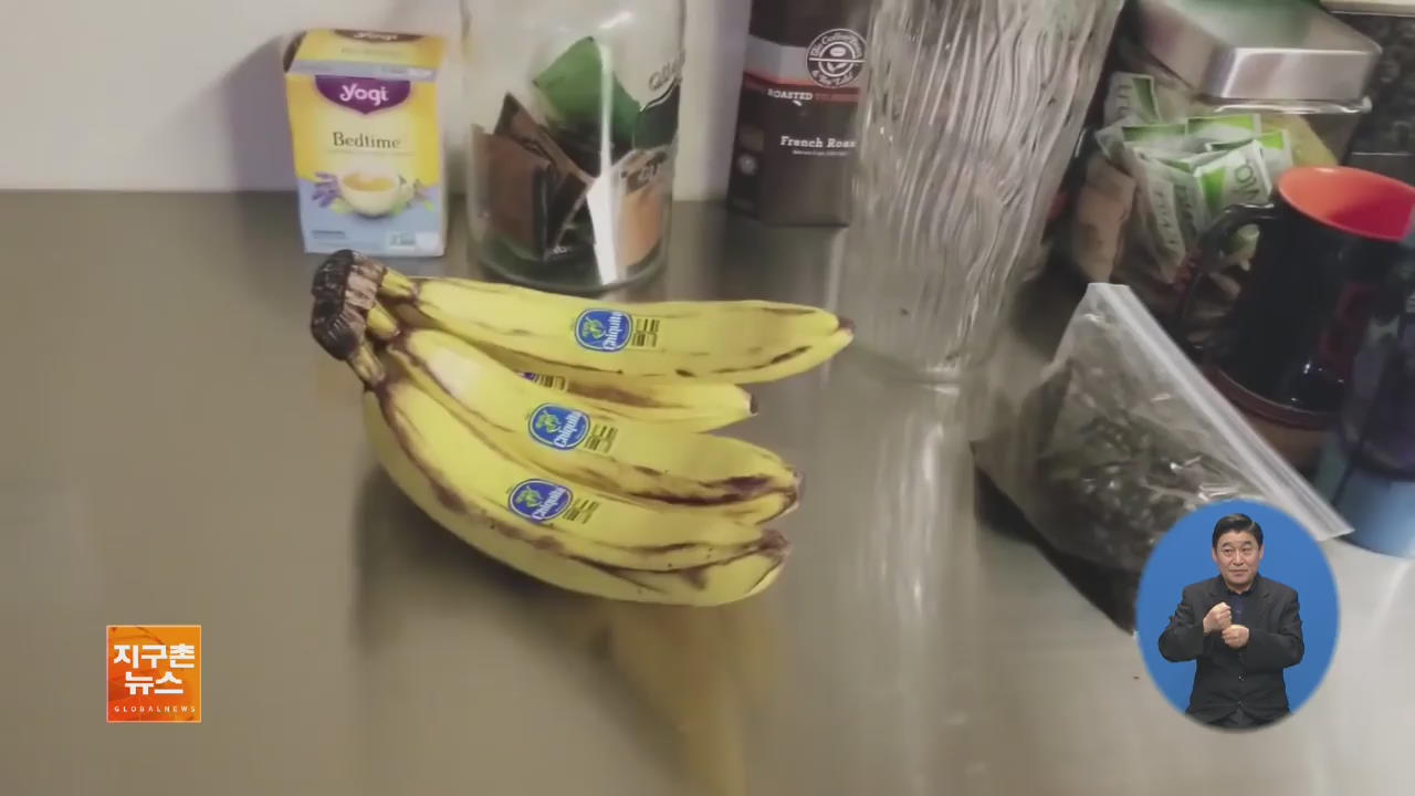 [지구촌 화제 영상] 감쪽같은 ‘나무 바나나’ 만들기