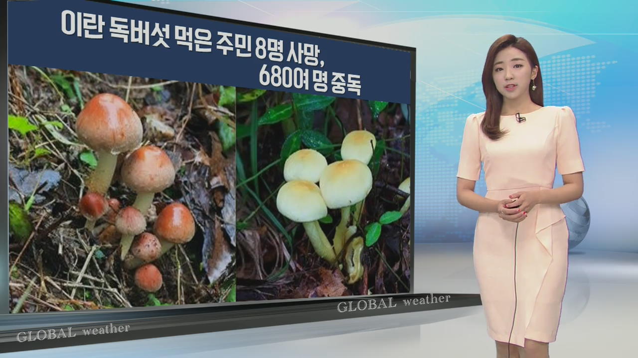 [지구촌 날씨] 이란서 독버섯 먹은 주민 8명 사망, 680여명 중독