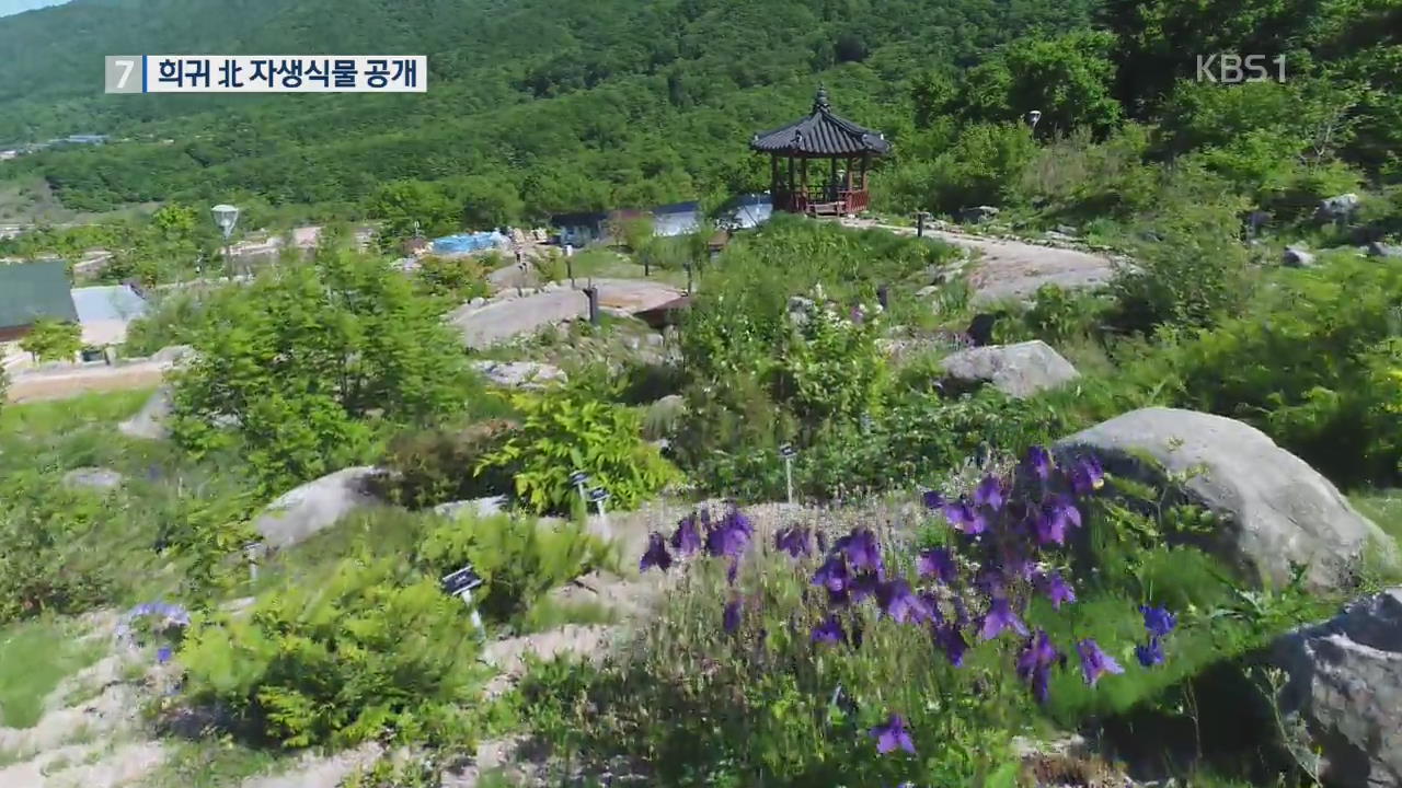 “희귀 북한 식물 만나요” DMZ 자생식물 첫 공개