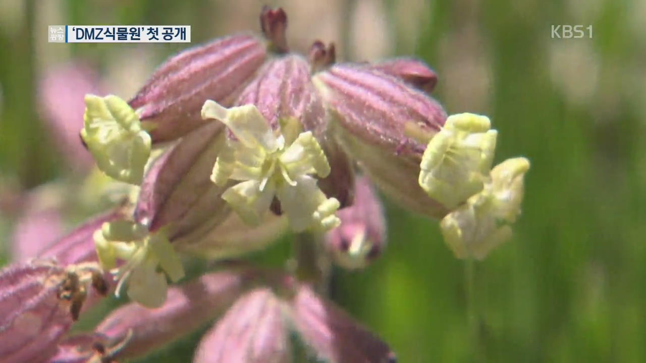 DMZ 식물원, 희귀 북한 자생식물 첫 공개