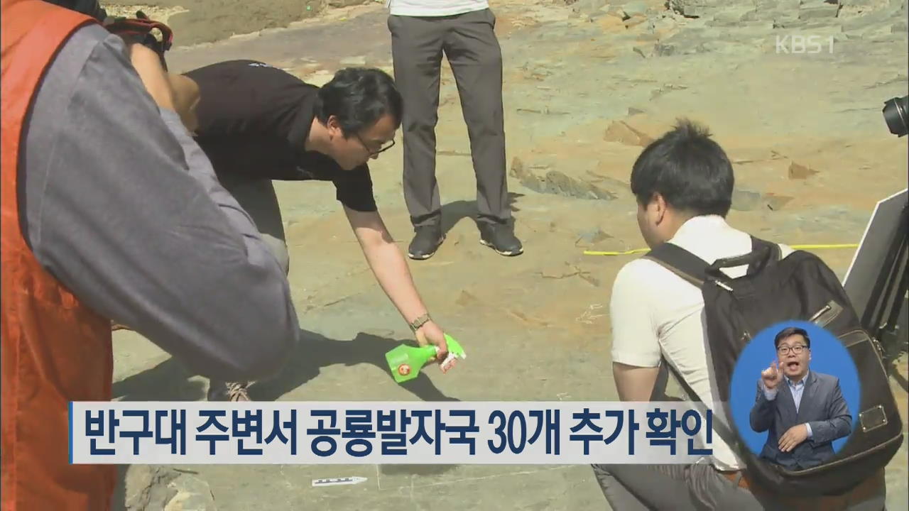 반구대 주변서 공룡발자국 30개 추가 확인