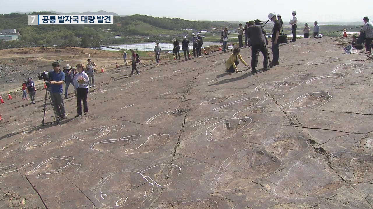 산단 공사 현장서 ‘공룡 발자국’ 대량 발견…발톱·지문 선명