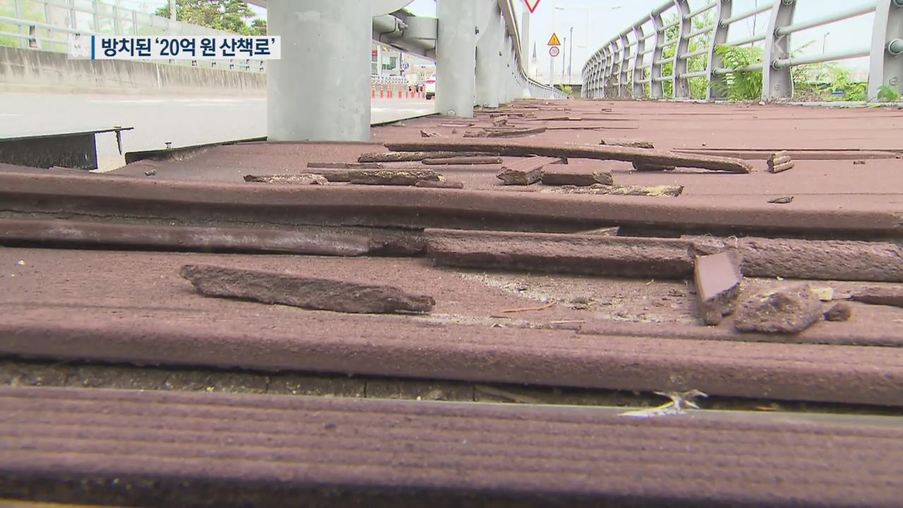 대전 도심 보행자 없는 산책로…예산낭비 논란