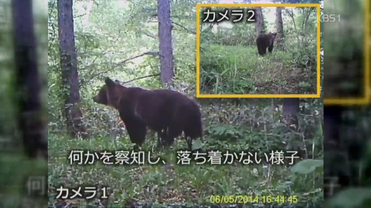 ‘곰’ 대국 일본 대처법…“미리 소리 내세요”