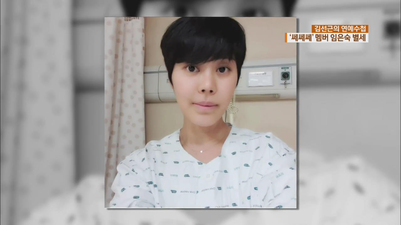 [연예수첩] ‘쎄쎄쎄’ 멤버 임은숙, 유방암 투병 중 별세