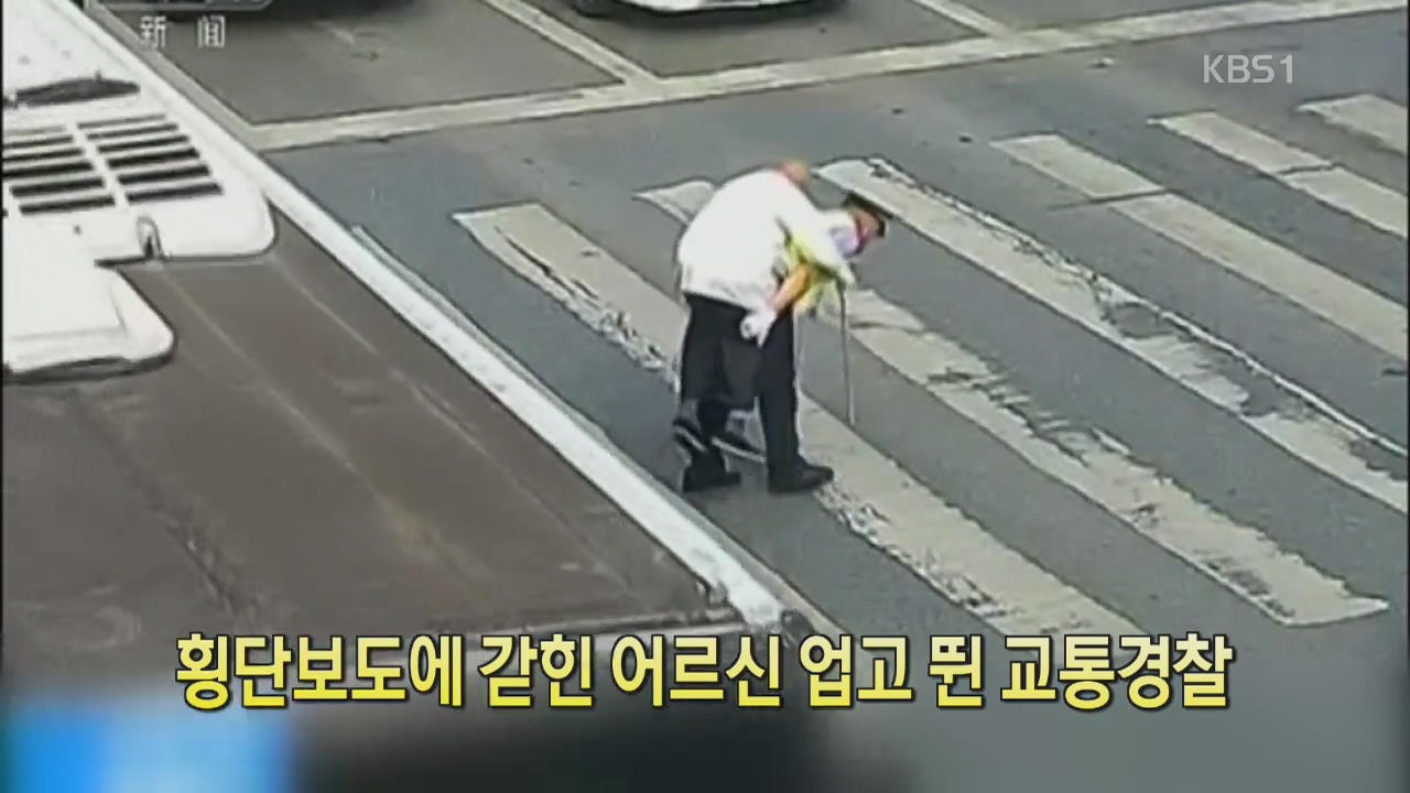 [디지털 광장] 횡단보도에 갇힌 어르신 업고 뛴 교통경찰