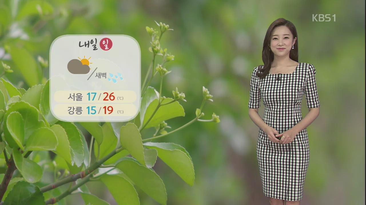 [날씨] 서쪽 ‘더위’ 동쪽 ‘선선’…밤부터 새벽까지 산발적 비 