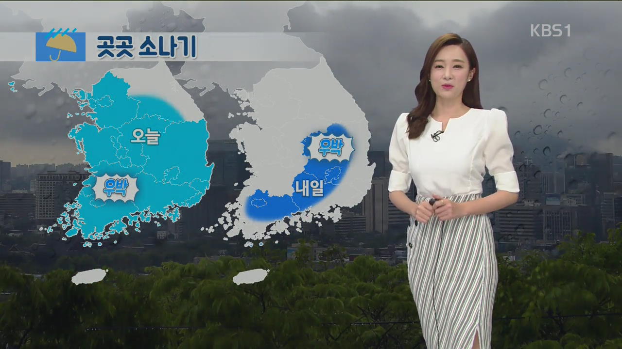 [날씨] 오늘 전국, 내일 전남·영남 내륙 소나기…벼락·우박 동반