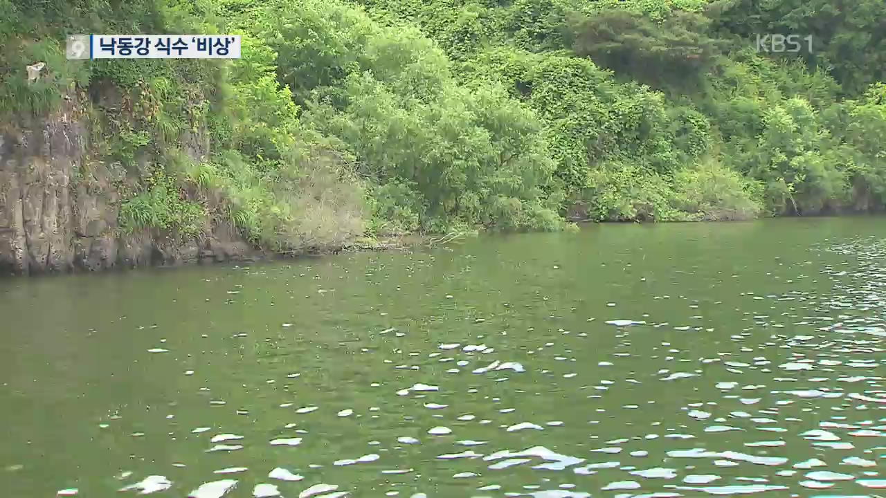 [이슈&뉴스] 첫 조류경보 낙동강 식수 ‘비상’…보 수문 연 곳은 ‘멀쩡’