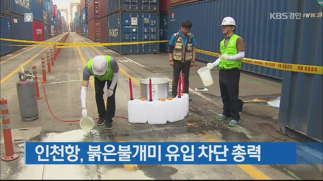 인천항, 붉은불개미 유입 차단 총력