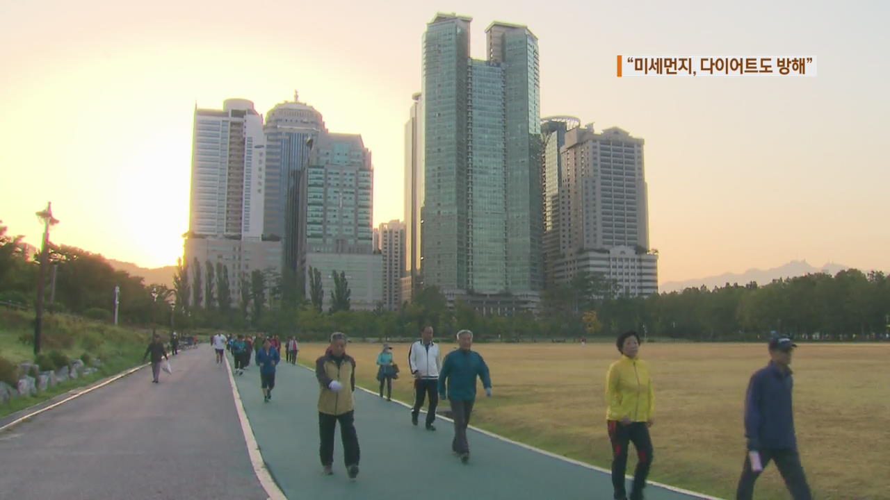 “미세먼지, 다이어트 부정적 영향”