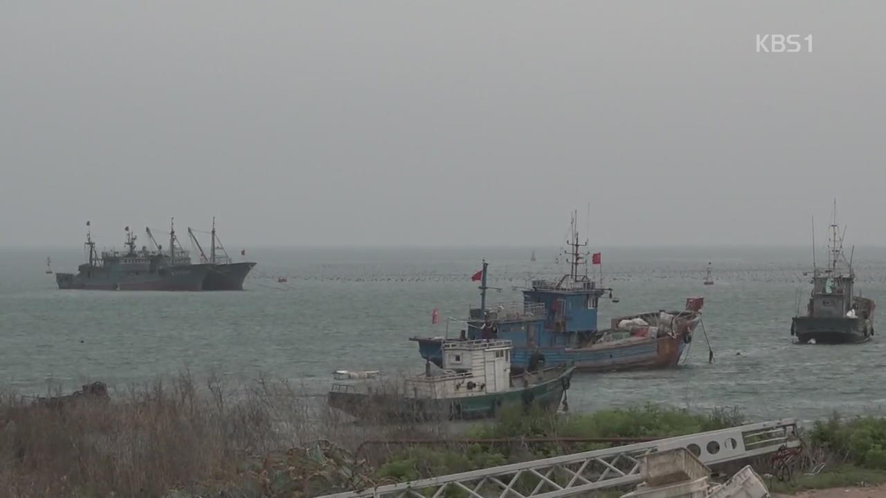 중국 어선 불법 조업 줄어든 까닭은?